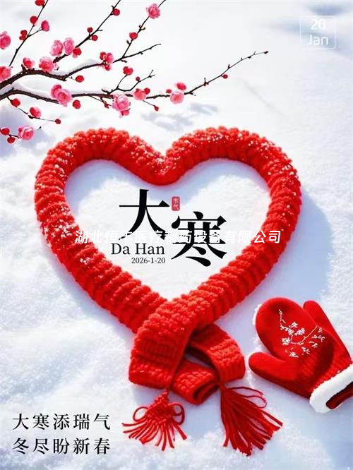 雪落大寒,蓄力待春,新岁启新程!